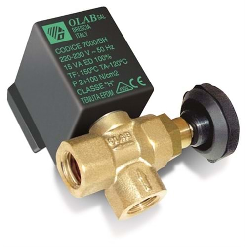 Ütü Solenoid Valf 1/4 (Ayarlı) / TY 7000/G